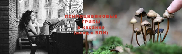 не бодяженный Лабытнанги