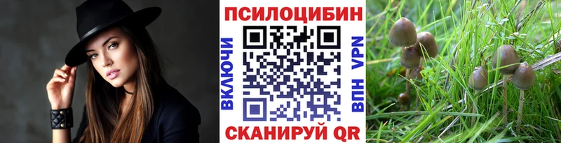 Купить закладки  Глазов  Галлюциногенные грибы мицелий 